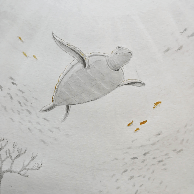 Original A3 - Tortue